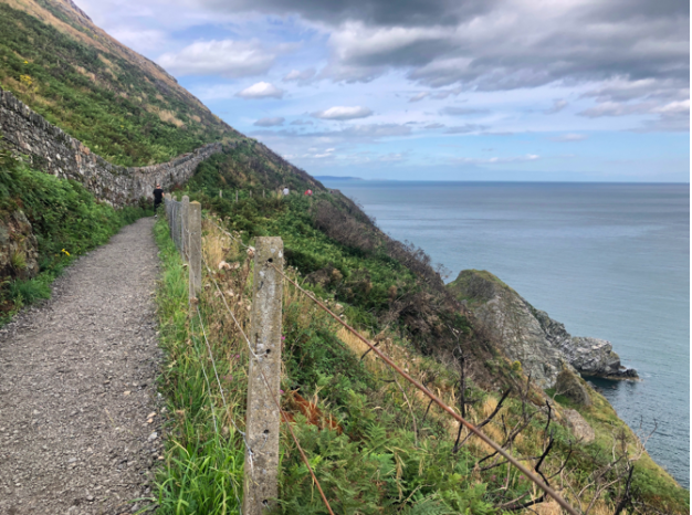 To the left of the picture, there is a small path. In the center there is a small fence. To the right is a massive cliff with the ocean below it. 